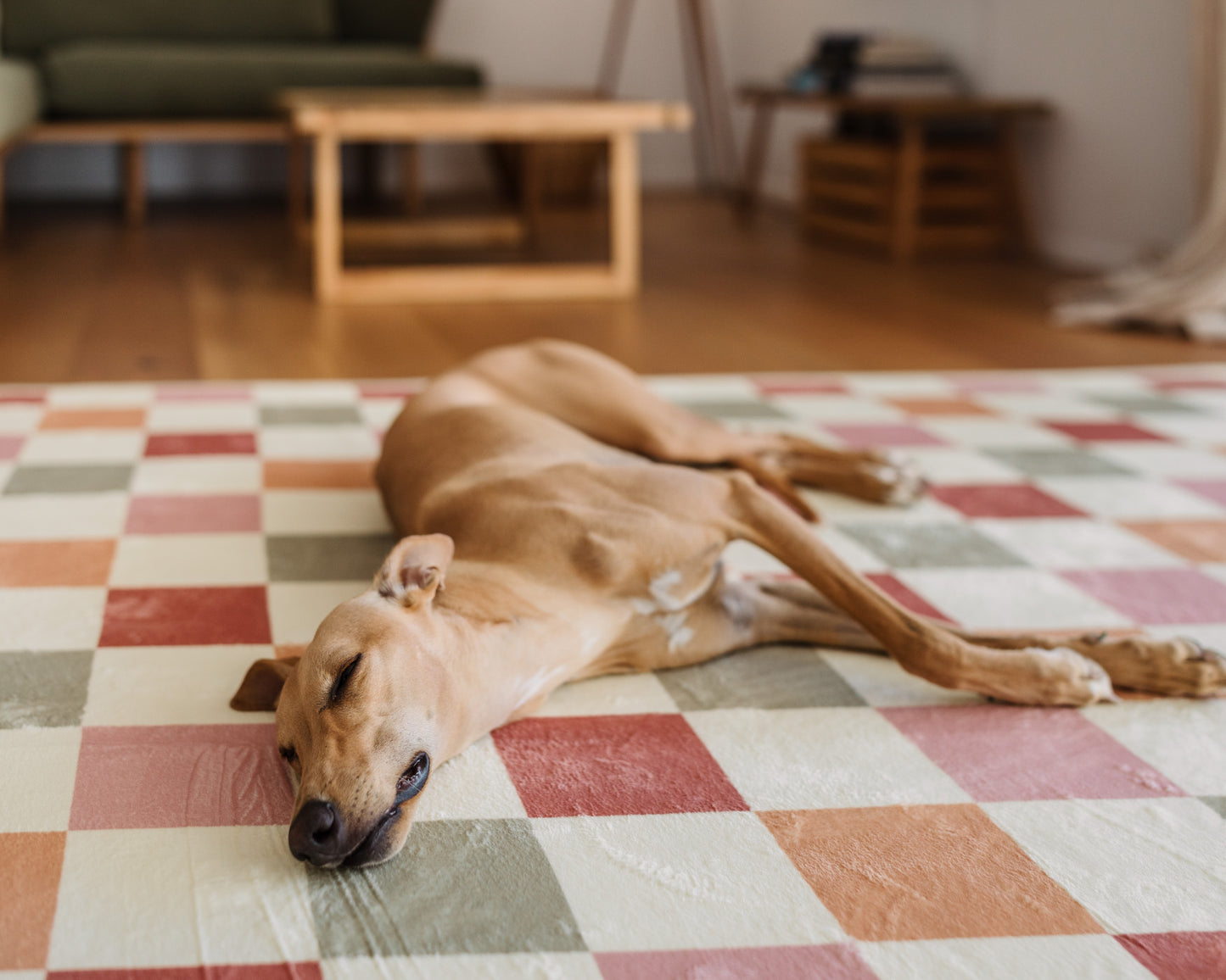 SAMPLE & CUSTOMER RETURN SALE - The Colourful Check Mat