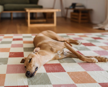 SAMPLE & CUSTOMER RETURN SALE - The Colourful Check Mat